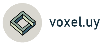 Voxel Uy